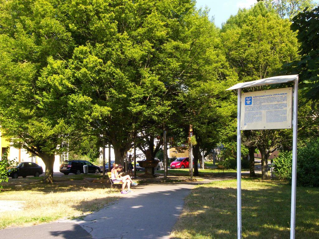Penzion U Antonickova Pramene Mariánské Lázně المظهر الخارجي الصورة